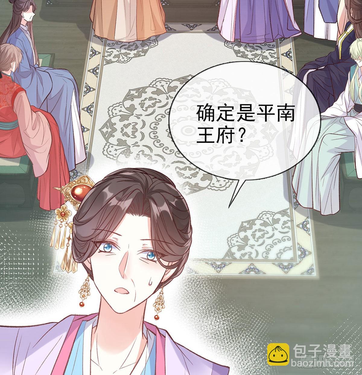 《娇媚夫郎，在线绿茶（绿茶夫君）》平南王的私生子？ 第3页