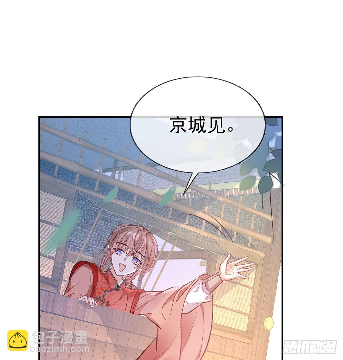 《娇媚夫郎，在线绿茶（绿茶夫君）》平南王的私生子？ 第45页