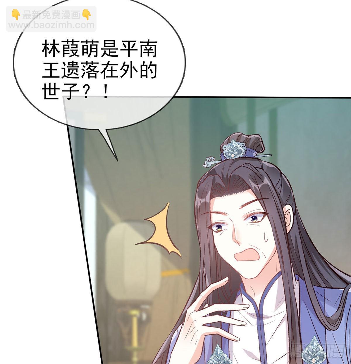 《娇媚夫郎，在线绿茶（绿茶夫君）》平南王的私生子？ 第6页