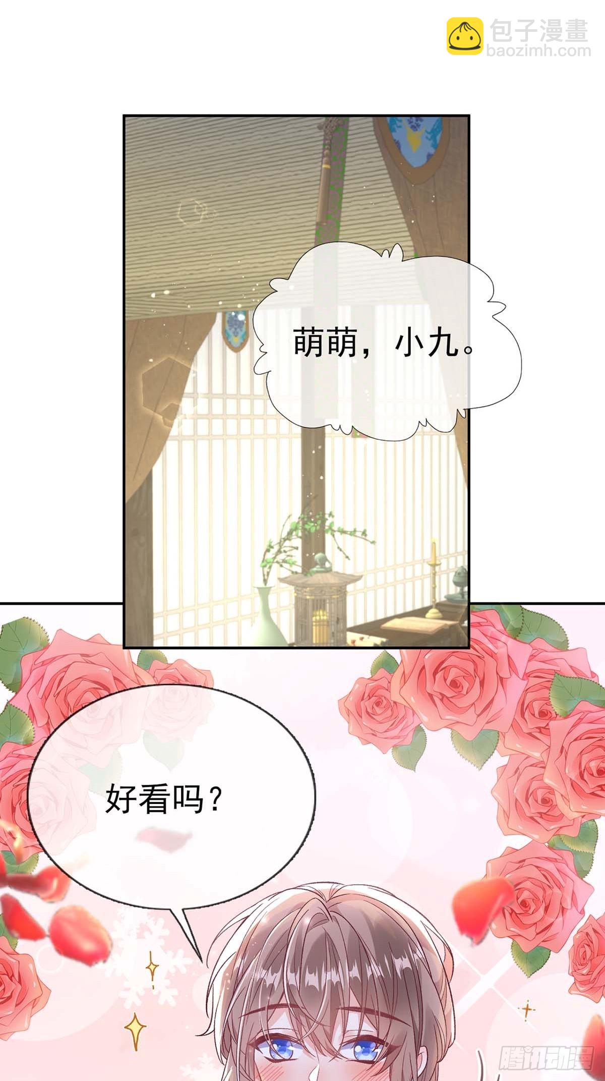 《娇媚夫郎，在线绿茶（绿茶夫君）》苏玉儿出嫁 第31页