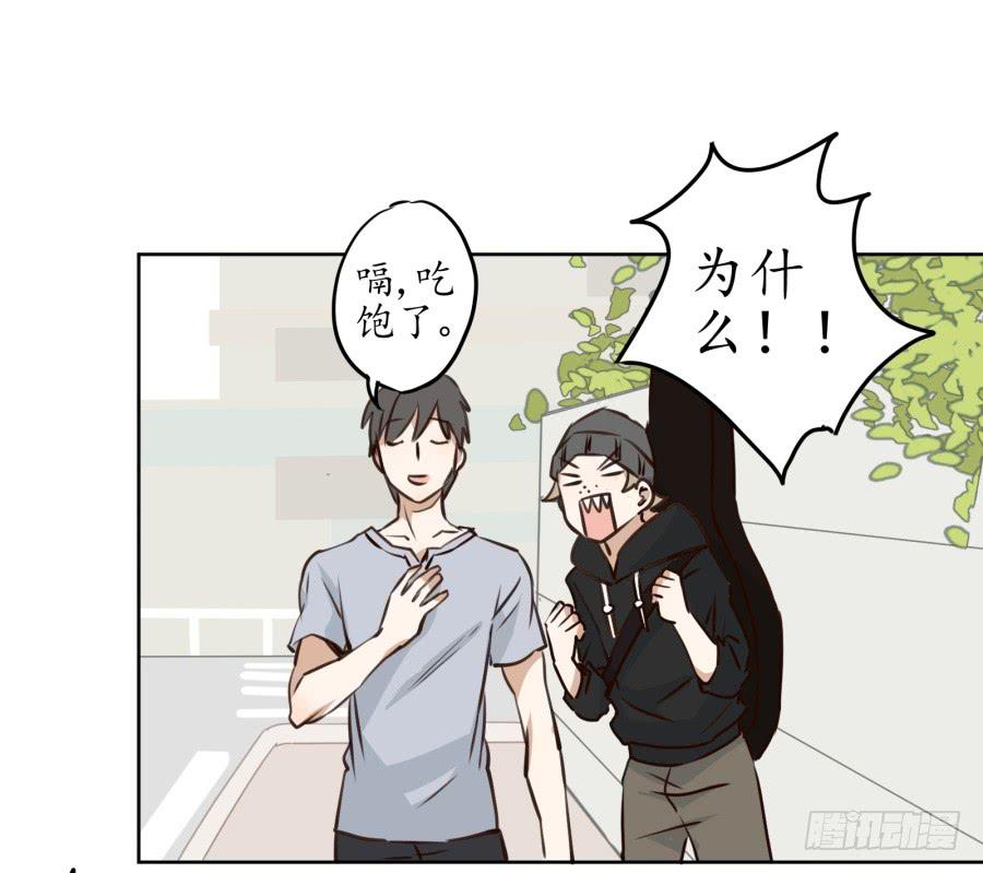 《鲸鱼的耳朵》一场持久的战役 第4页