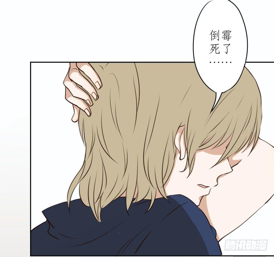 《鲸鱼的耳朵》意外的工作 第8页