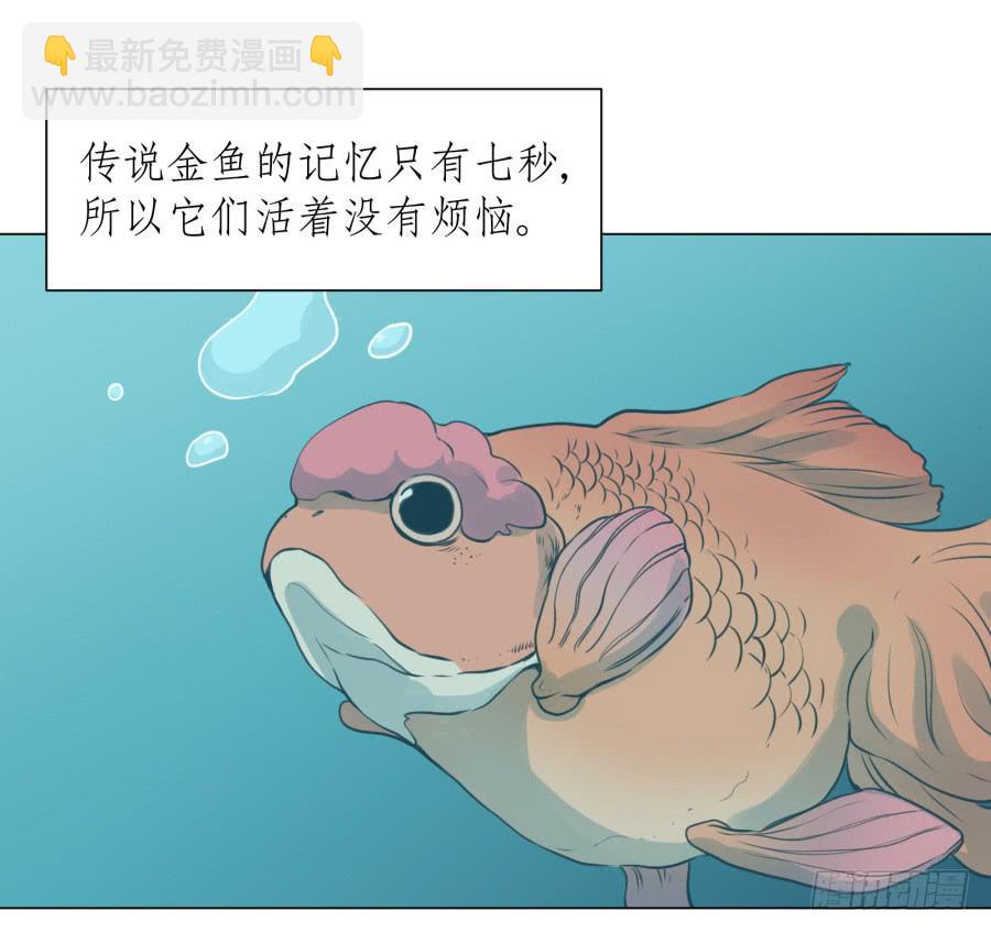 《鲸鱼的耳朵》没有你我不行的 第2页