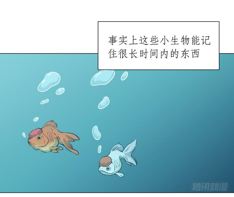 《鲸鱼的耳朵》没有你我不行的 第6页