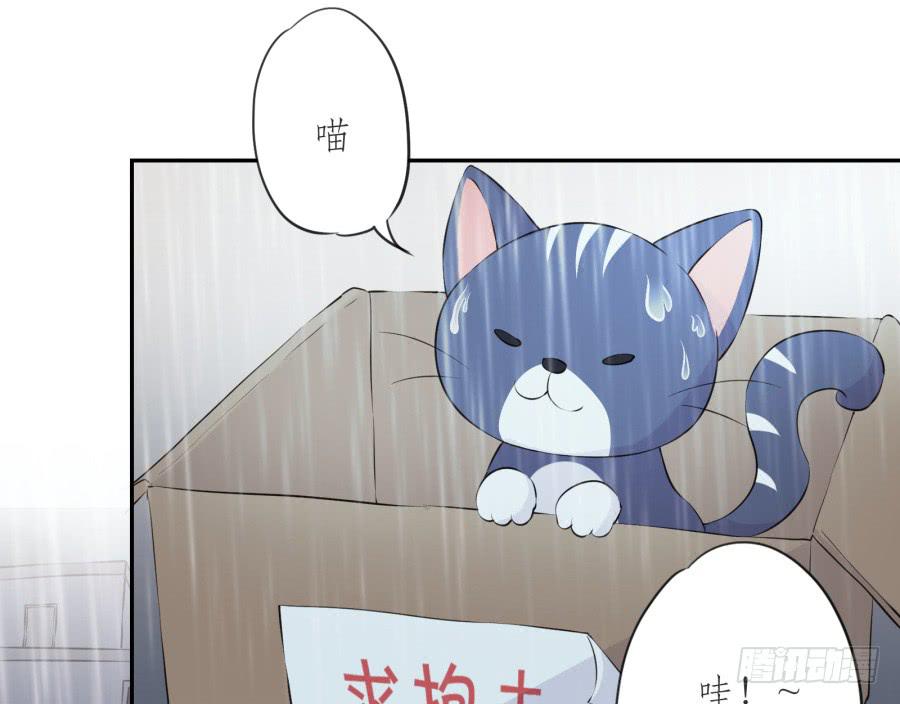 《鲸鱼的耳朵》你怎么不说一声就出现… 第5页