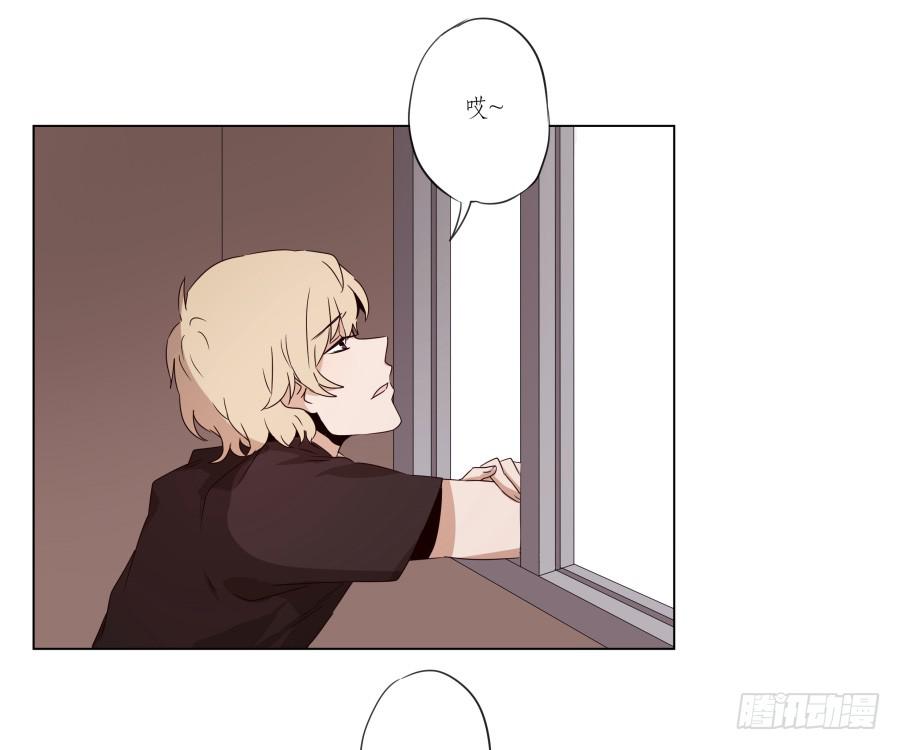《鲸鱼的耳朵》这段旋律真的是很不错哦… 第19页