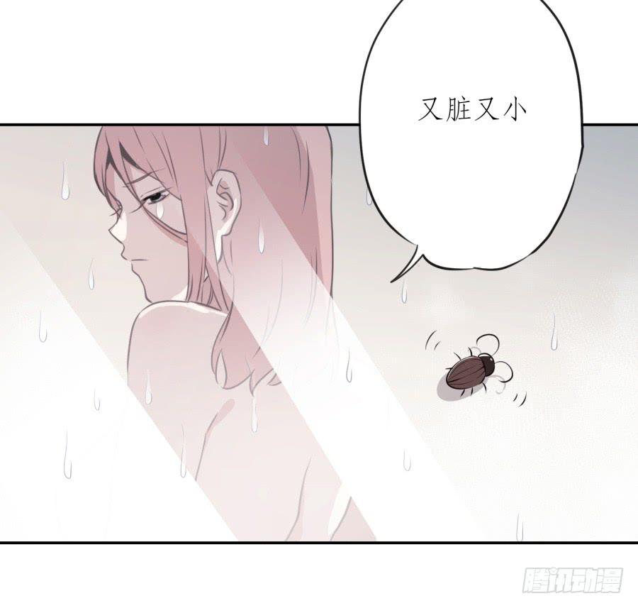 《鲸鱼的耳朵》昨晚究竟发生了什么… 第30页