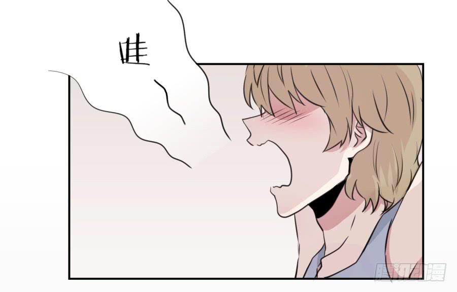 《鲸鱼的耳朵》昨晚究竟发生了什么… 第3页