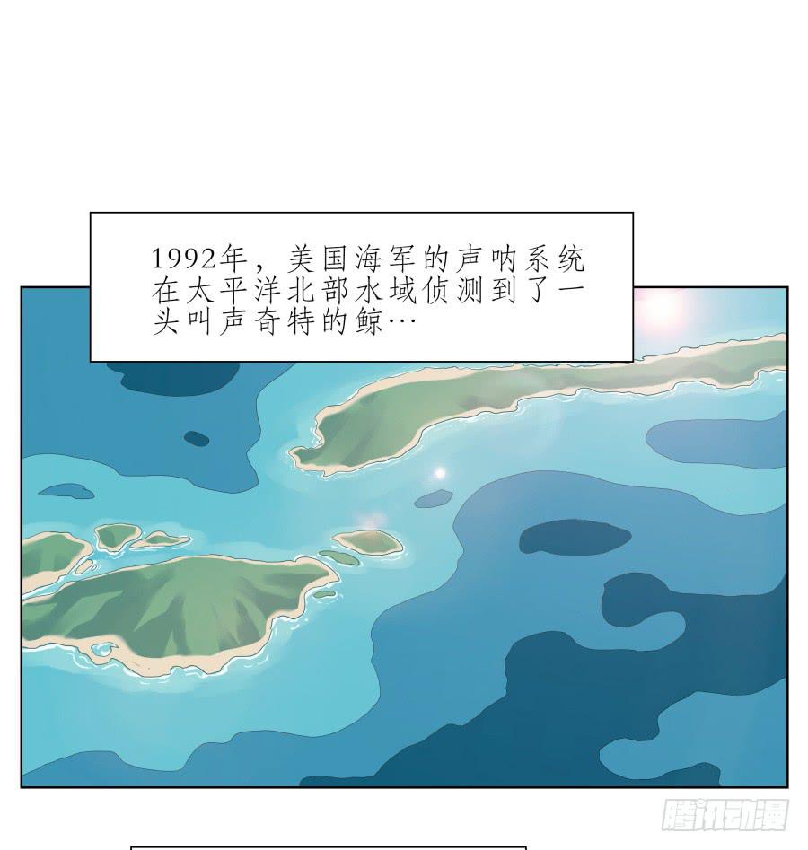 《鲸鱼的耳朵》好久没有这么开心了啊… 第2页