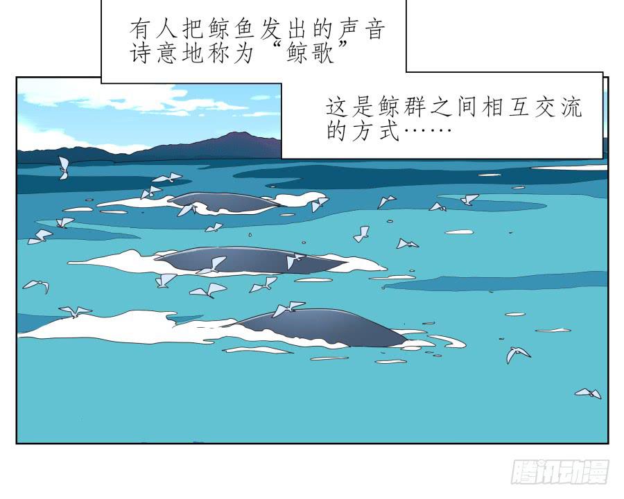 《鲸鱼的耳朵》好久没有这么开心了啊… 第3页