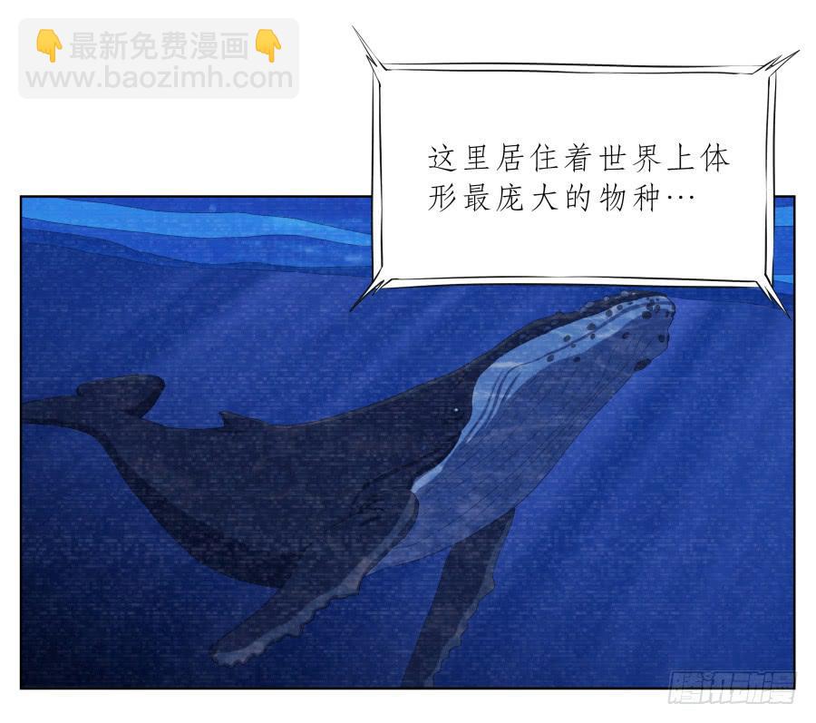 《鲸鱼的耳朵》你说，我们的乐队要叫什么名字呢？ 第41页