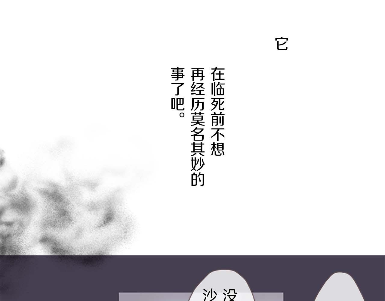 《圣女被龙骑士保护着》第3话 治愈魔法 第40页