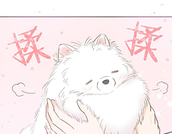 《圣女被龙骑士保护着》第11话 不要靠近我 第37页