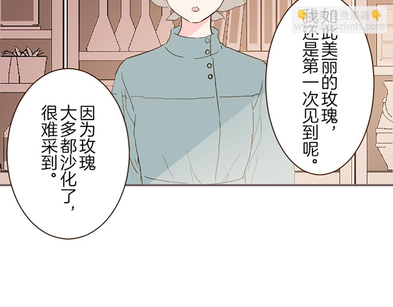 《圣女被龙骑士保护着》第16话 染色魔法药 第13页