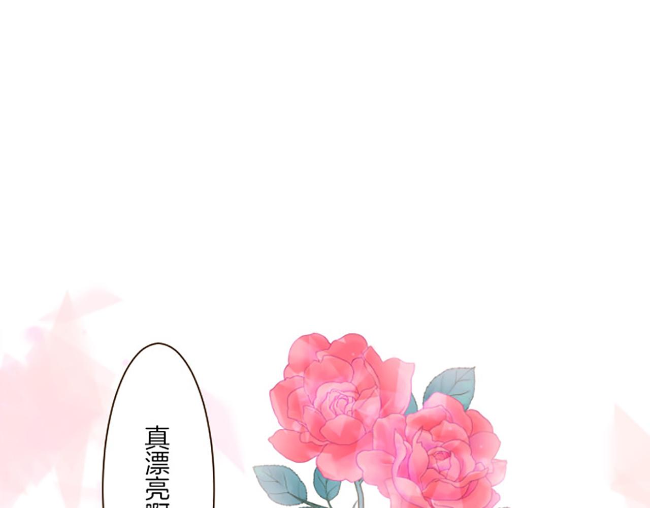 《圣女被龙骑士保护着》第16话 染色魔法药 第5页