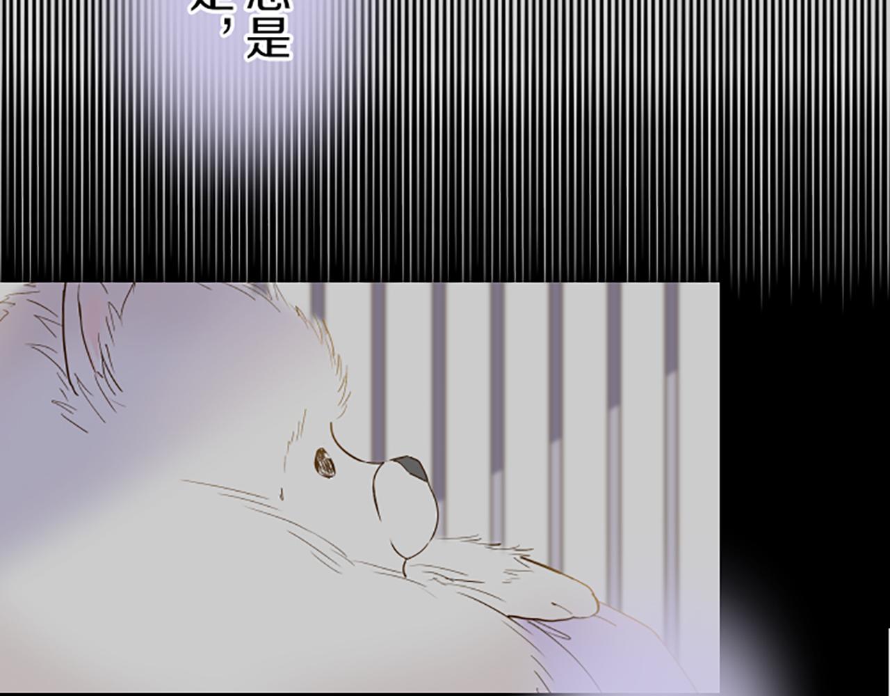 《圣女被龙骑士保护着》第26话 我想变强 第42页