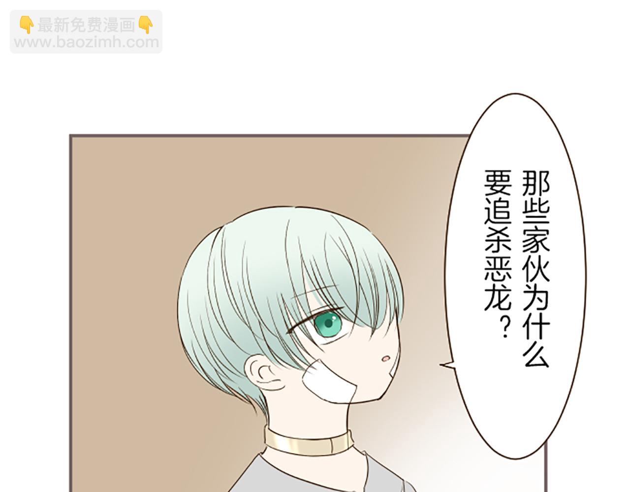 《圣女被龙骑士保护着》第28话 悲惨童年 第46页