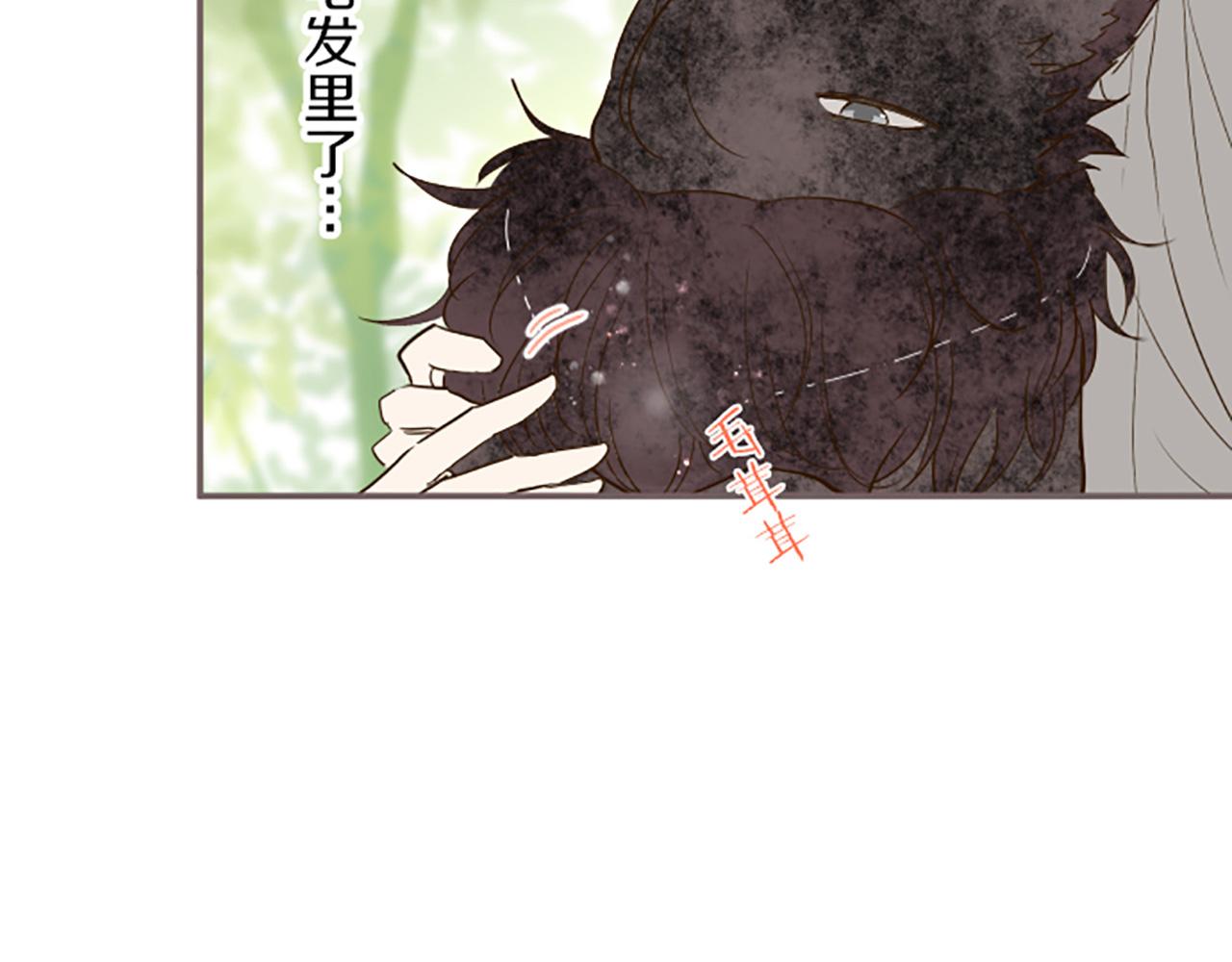 《圣女被龙骑士保护着》第36话 独自离开 第11页