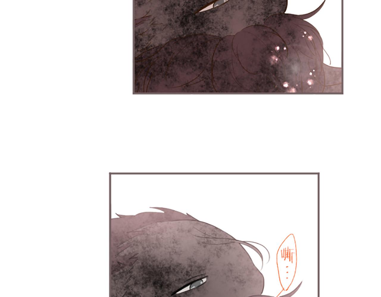《圣女被龙骑士保护着》第36话 独自离开 第13页