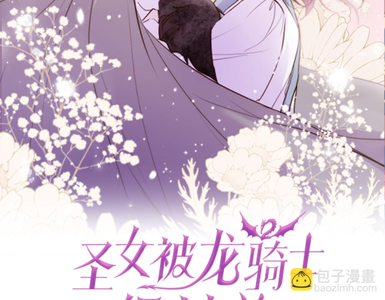 《圣女被龙骑士保护着》第41话 进宫 第2页