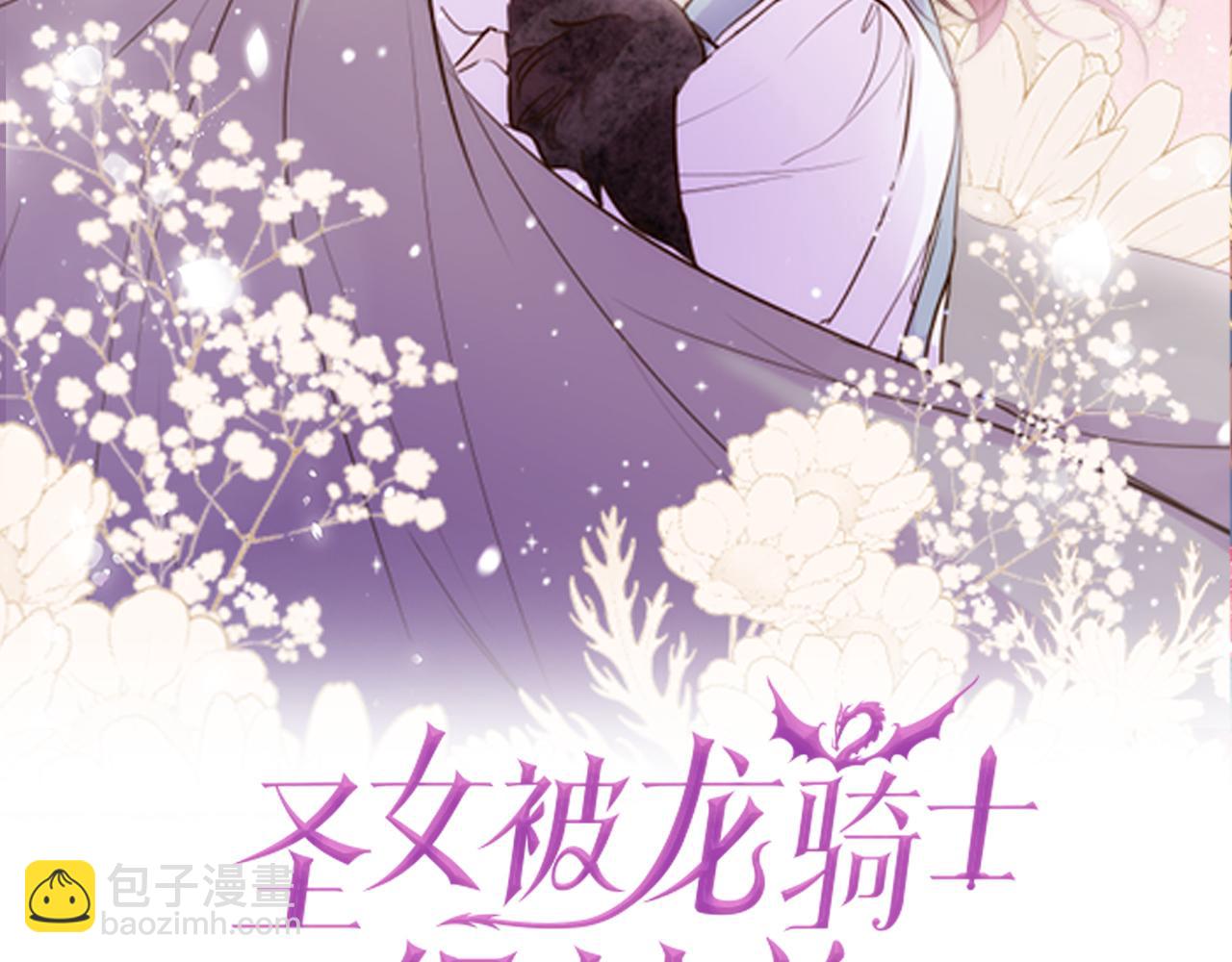 《圣女被龙骑士保护着》第51话 请不要跟来 第2页