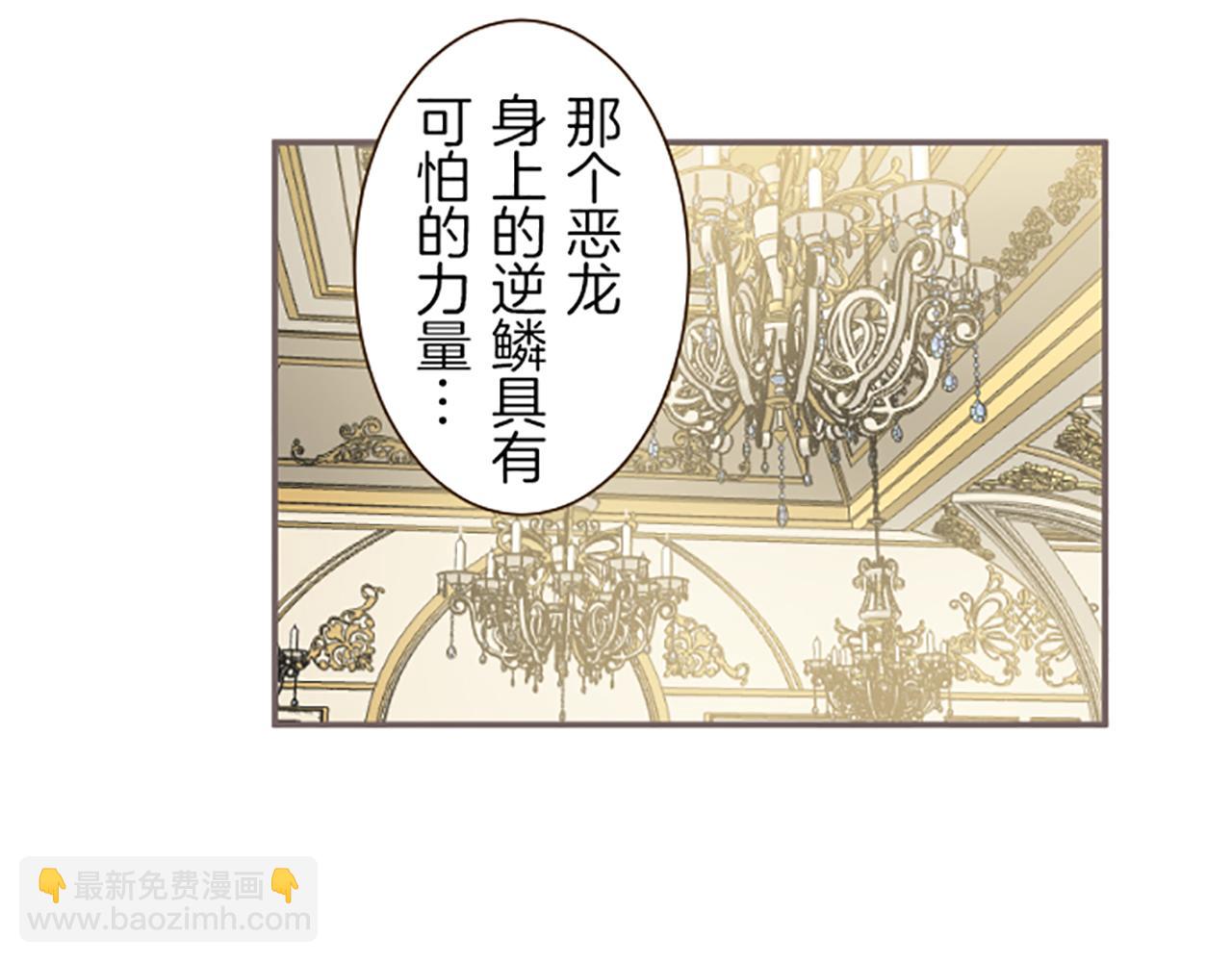 《圣女被龙骑士保护着》第51话 请不要跟来 第48页