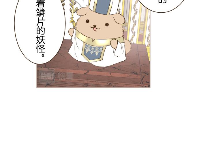 《圣女被龙骑士保护着》第58话 爱情守护队 第14页