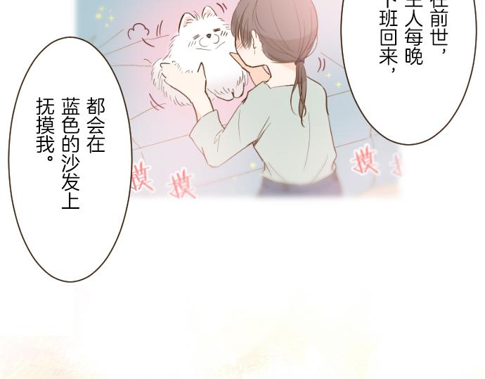 《圣女被龙骑士保护着》第66话 主仆相认 第14页