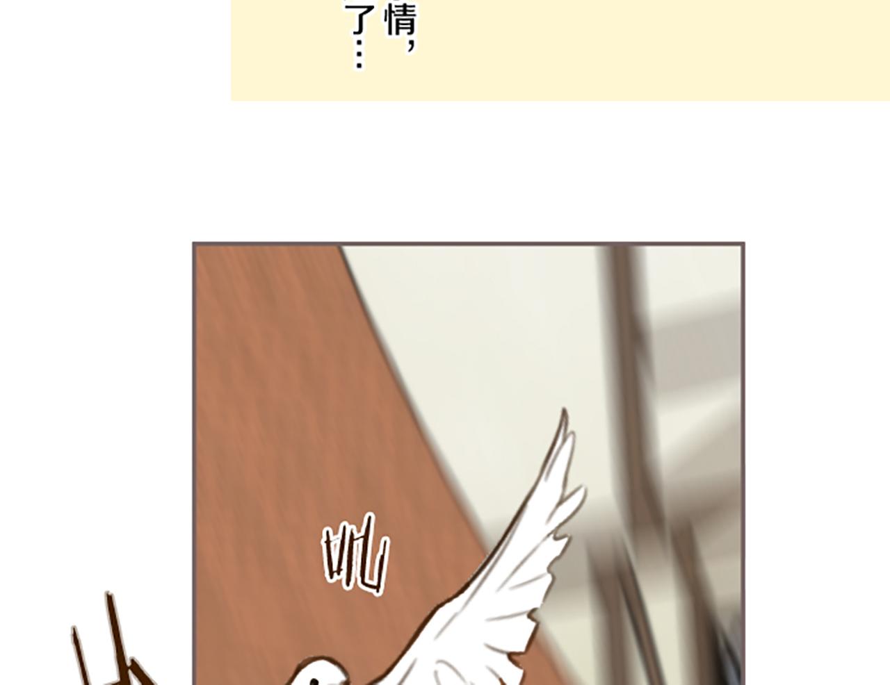 《圣女被龙骑士保护着》第89话 特别的礼物 第16页