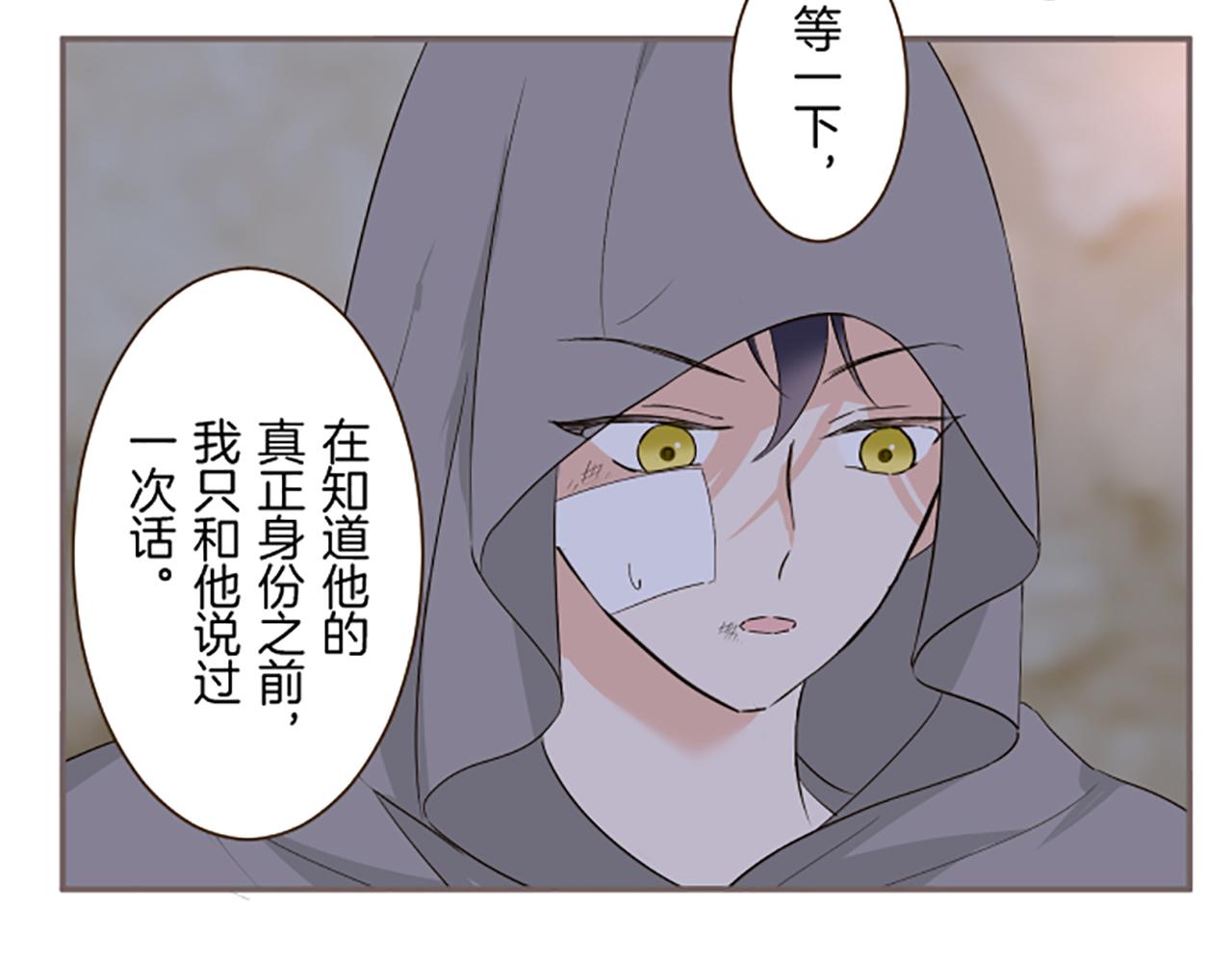 《圣女被龙骑士保护着》第96话 全是谎言 第17页