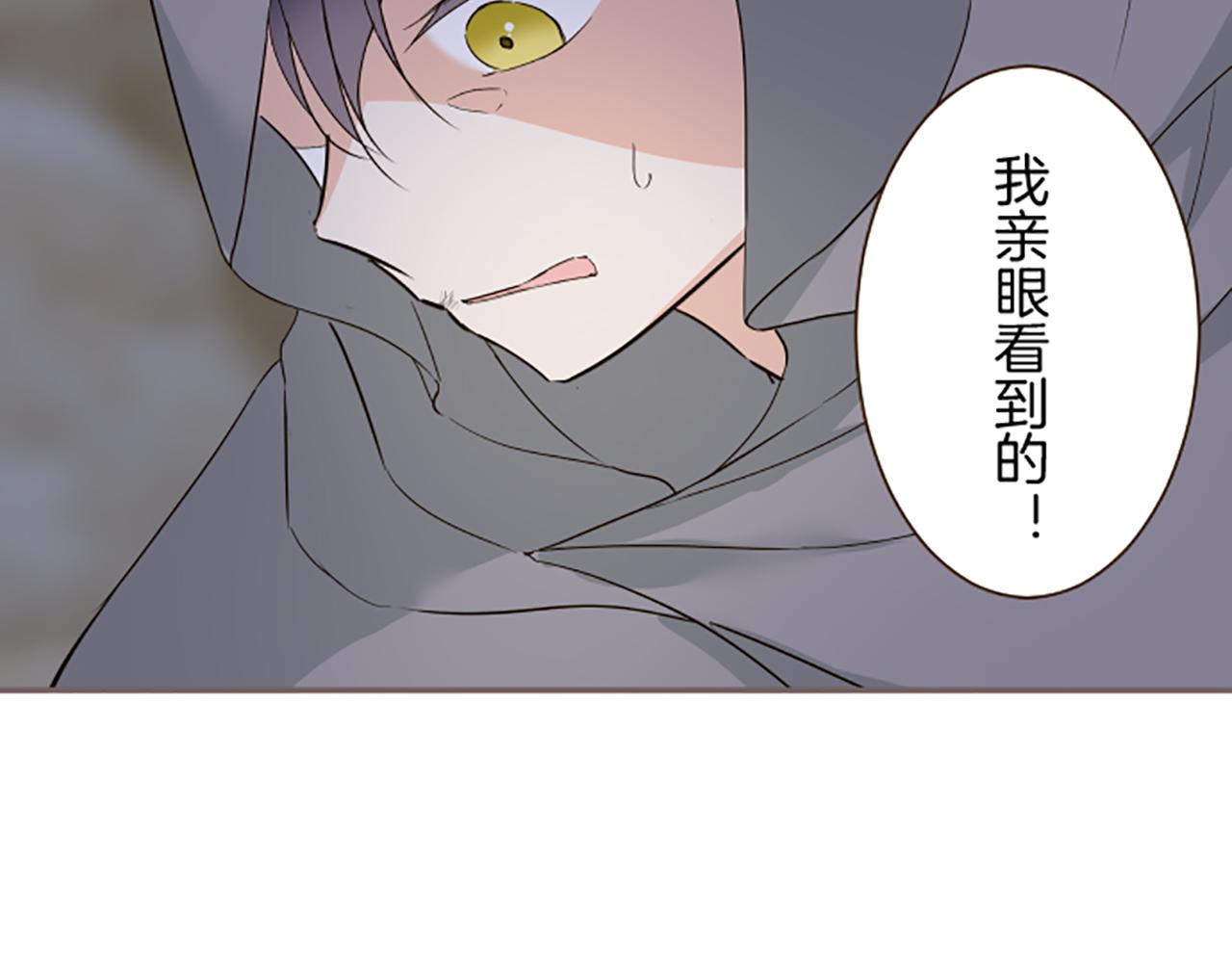 《圣女被龙骑士保护着》第96话 全是谎言 第45页