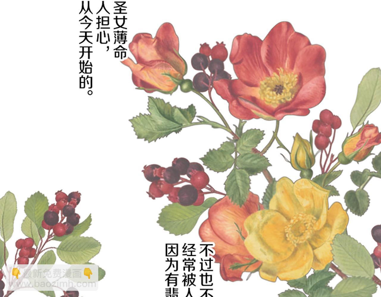 《圣女被龙骑士保护着》第97话 诞辰庆典 第28页