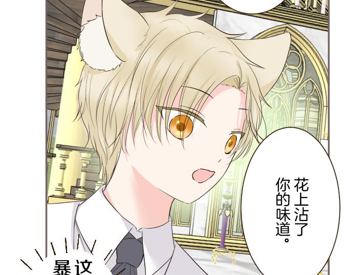 《圣女被龙骑士保护着》第106话 宣战 第31页