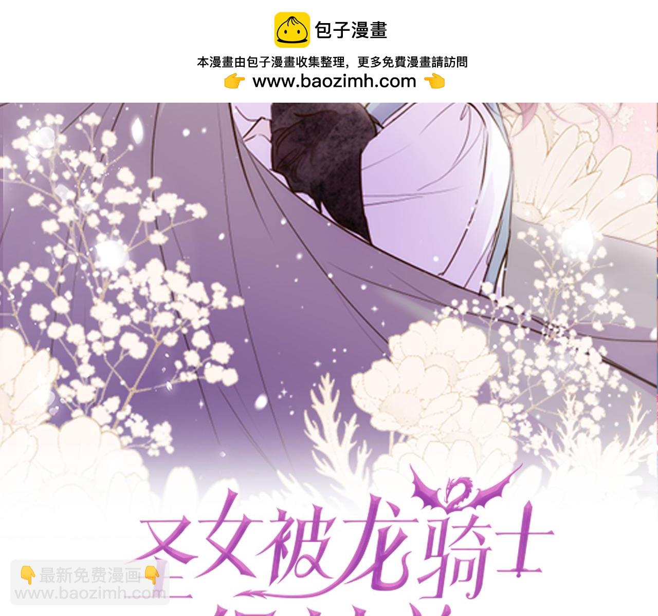 《圣女被龙骑士保护着》第111话 极度不安 第2页