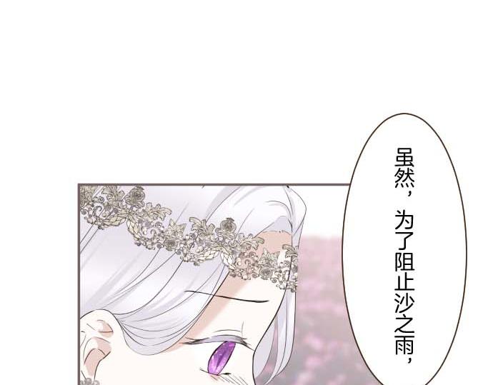 《圣女被龙骑士保护着》第118话 孤独的命运 第11页