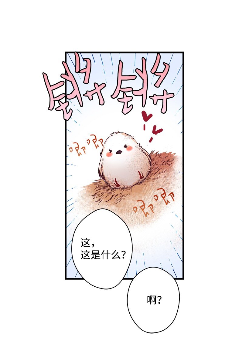 《失落的公主》12 陌生的岛 第41页