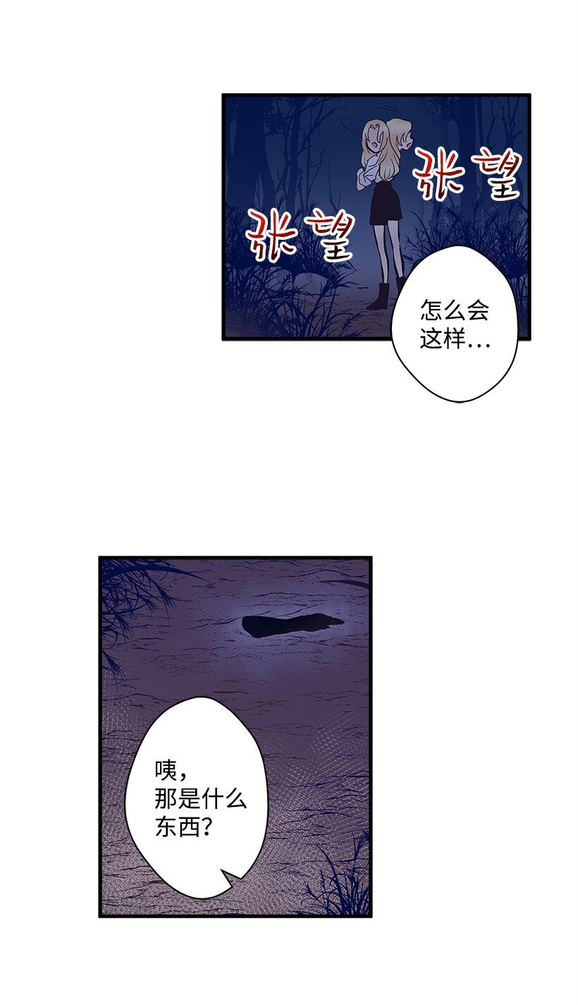 《失落的公主》15 打赌 第13页