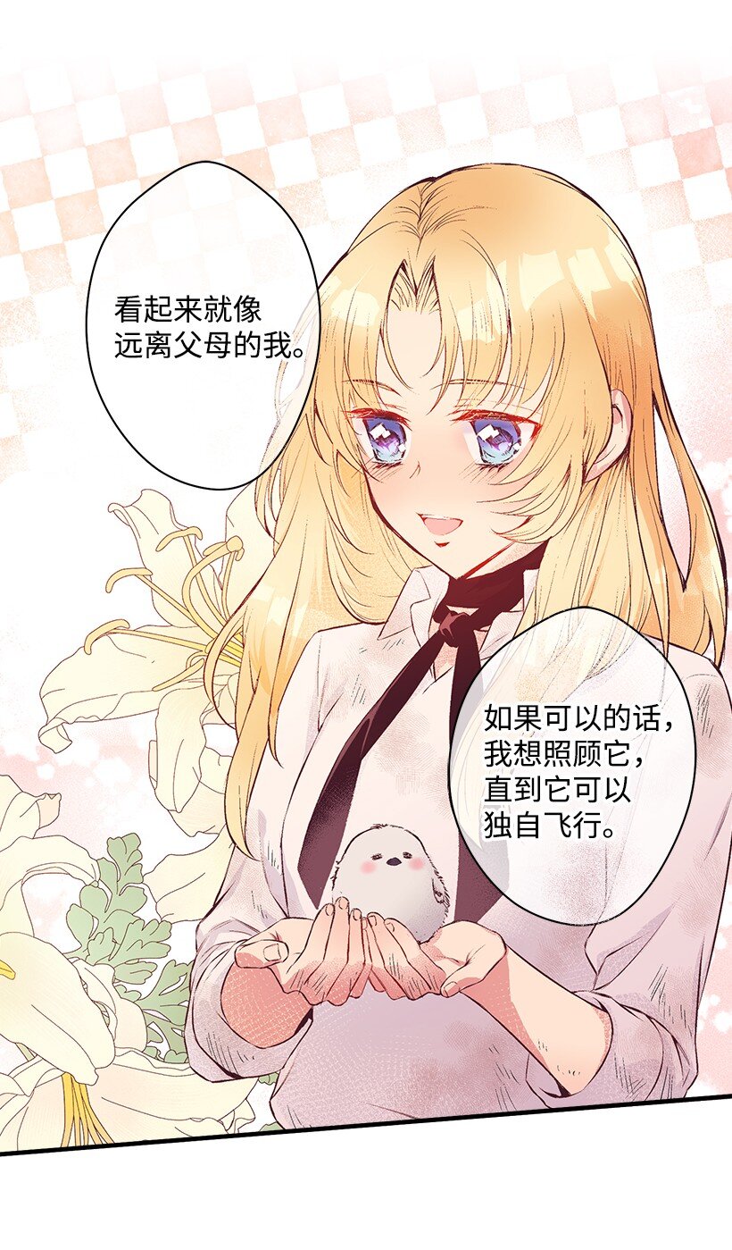 《失落的公主》13 岛上的生活 第13页