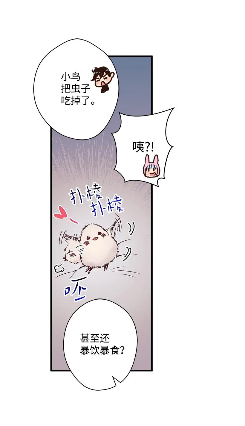 《失落的公主》18 黑色斑点 第7页