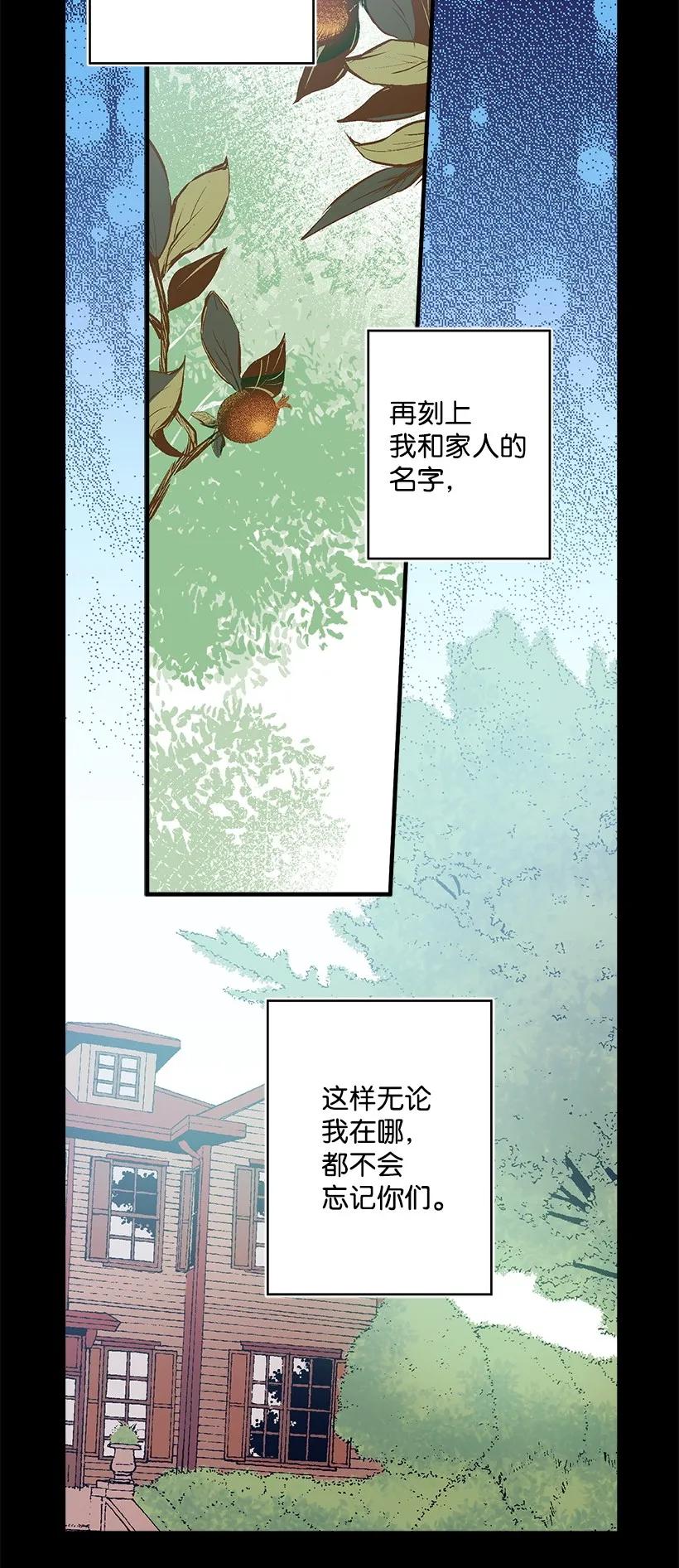 《失落的公主》24 哥哥的剑 第38页