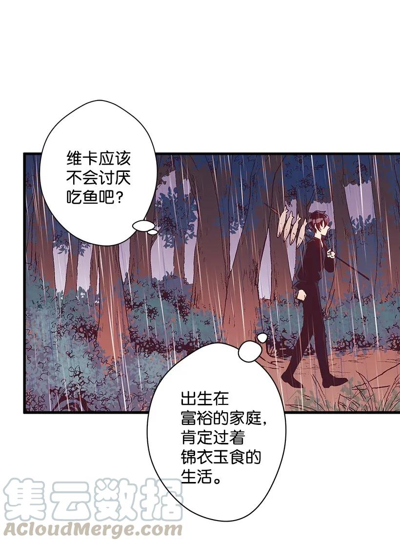 《失落的公主》44 维卡消失了 第13页