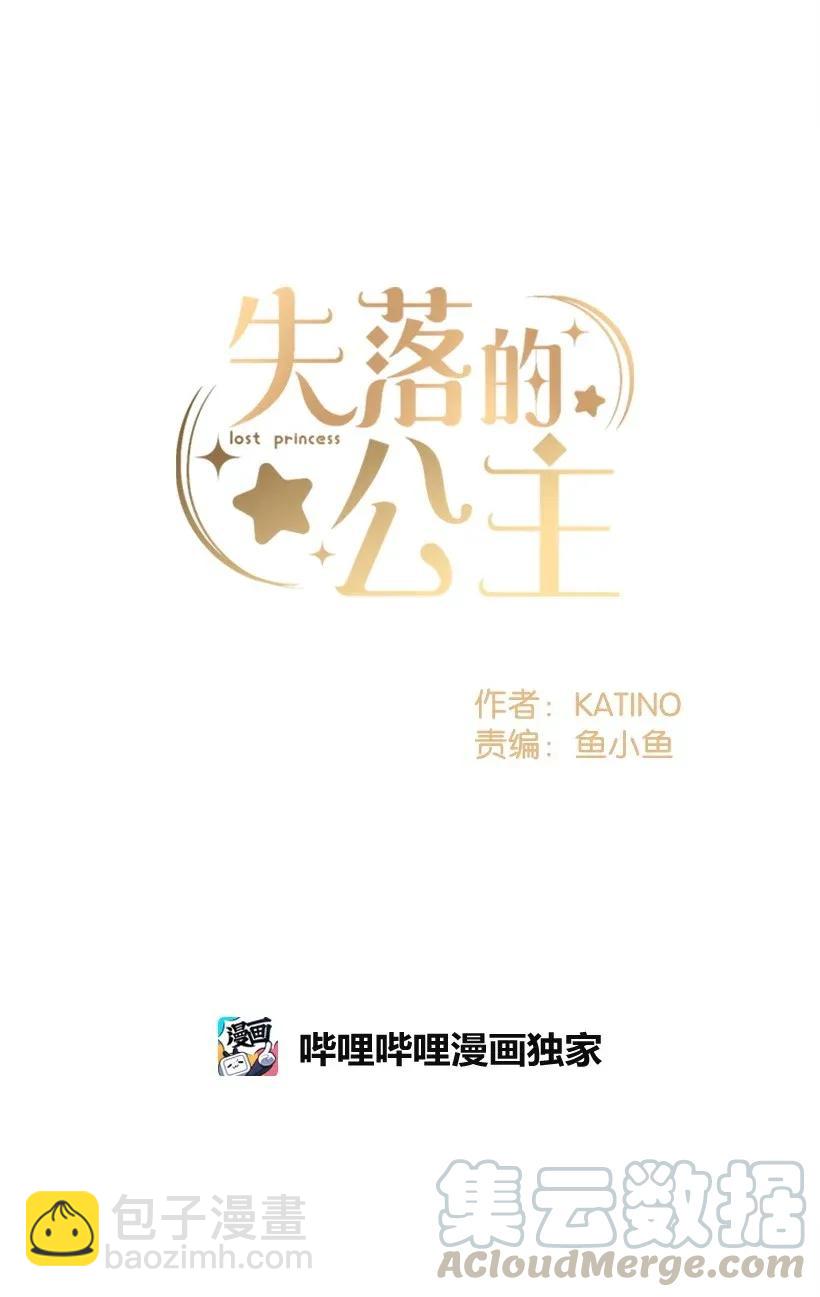 《失落的公主》41 瞄准目标 第37页