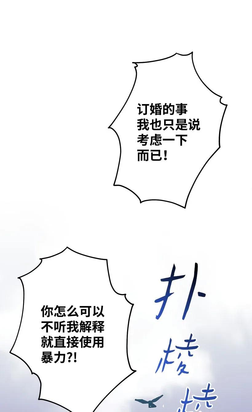 《失落的公主》53 连未婚夫都不是 第43页