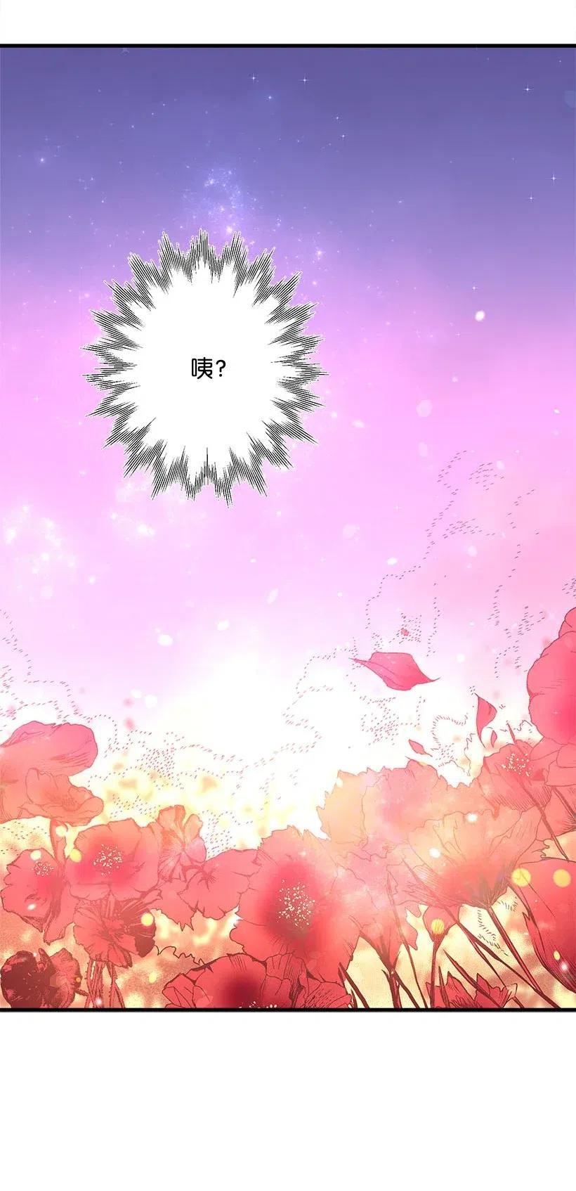 《失落的公主》57 罂粟花田 第19页