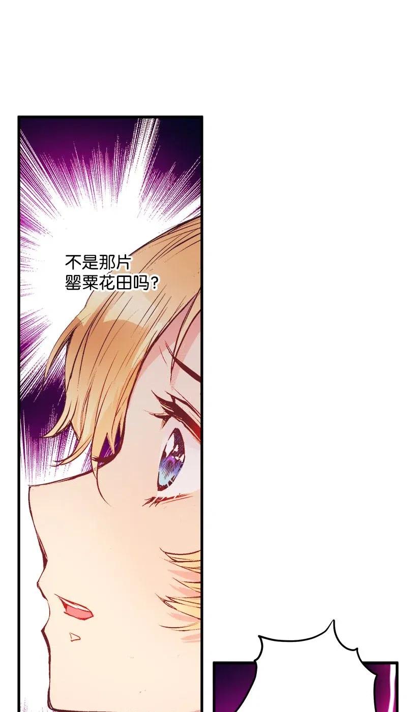 《失落的公主》57 罂粟花田 第22页