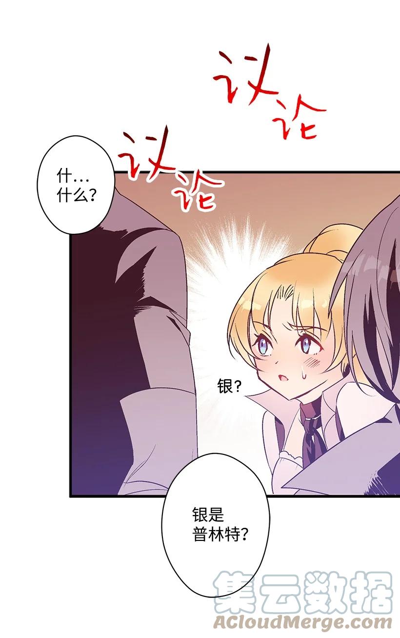 《失落的公主》84 历史人物普林特 第28页