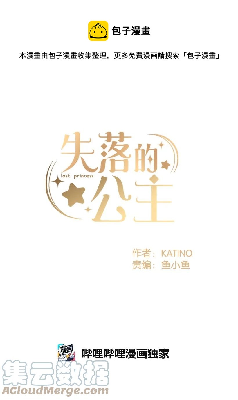 《失落的公主》89 谁有资格 第1页