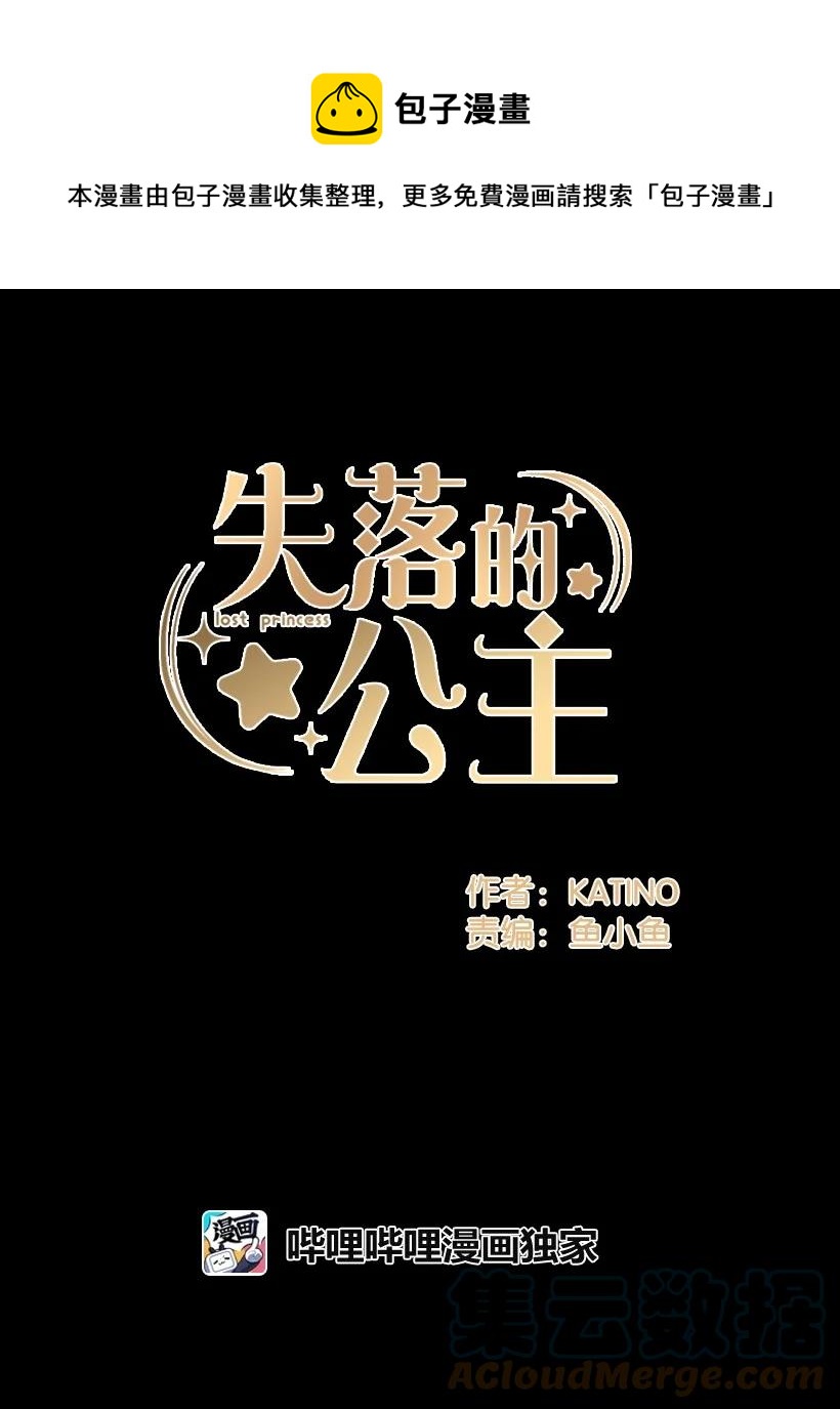 《失落的公主》98 银的心愿 第1页