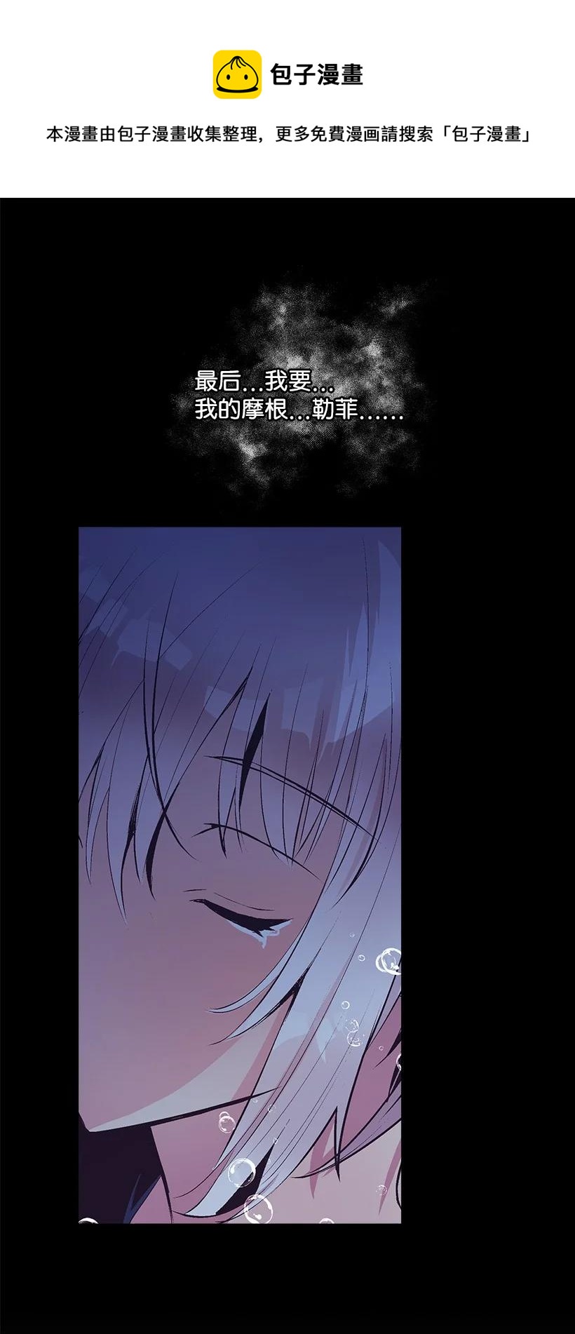 《失落的公主》98 银的心愿 第29页