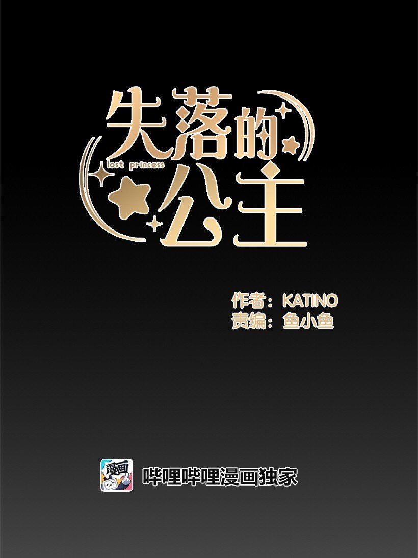 《失落的公主》109 成为你的骑士 第29页